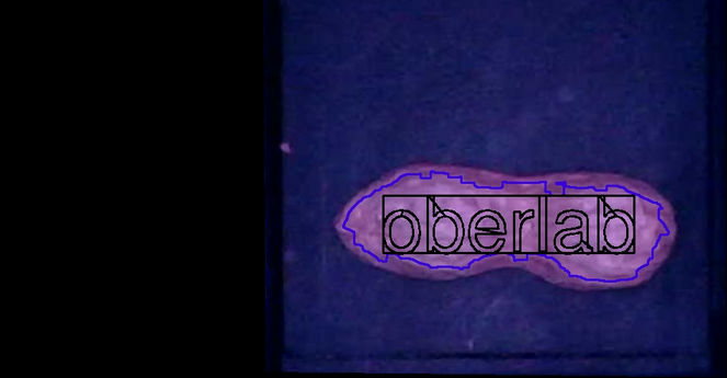 Historie: Vorhersage / Einpassung